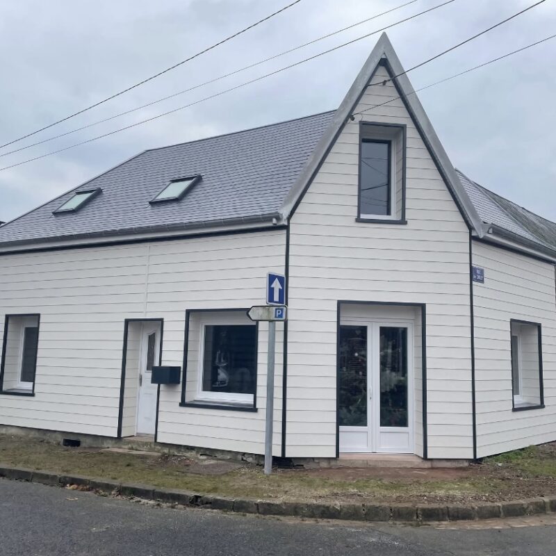 Ravalement de façade Illzach 7